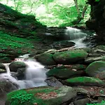 Near Afritzer & Verditz Trails Innere Einode