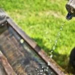 Near Afritzer & Verditz Trails *