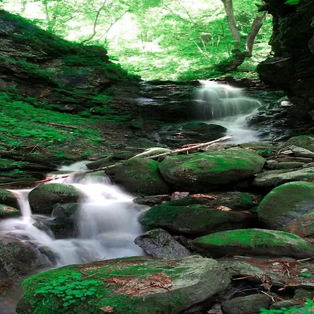 Near Afritzer & Verditz Trails Innere Einode