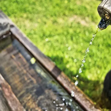 Near Afritzer & Verditz Trails *