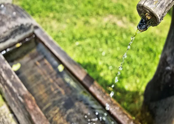 Near Afritzer & Verditz Trails *